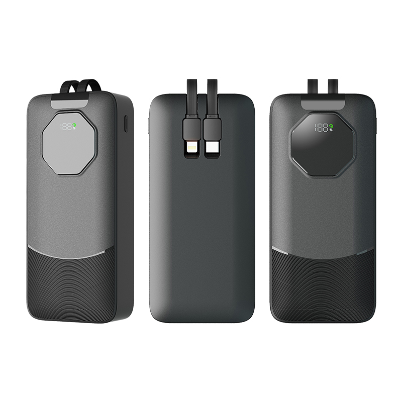 20.000 mAh Powerbank